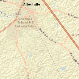 Albertville Street Map