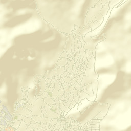 Leh Street Map