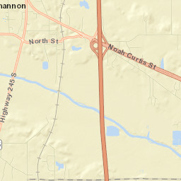 Shannon Street Map