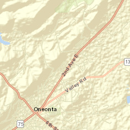 Oneonta Street Map