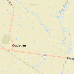 Gadsden Street Map