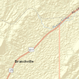 Odenville Street Map