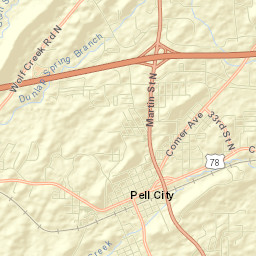 Pell City Street Map