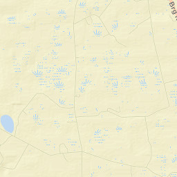 Bamberg County Street Map