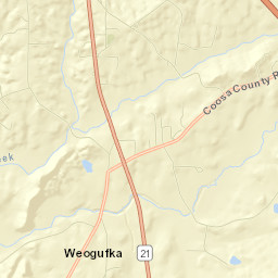 Stewartville Street Map