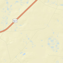 Allendale County Street Map