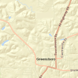 Greensboro Street Map