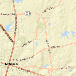 Mineola Street Map