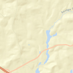 Twiggs County Street Map