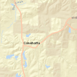 Conehatta Street Map