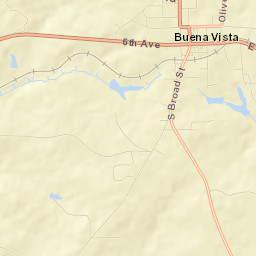 Buena Vista Street Map