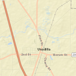 Unadilla Street Map