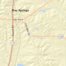 Bay Springs Street Map