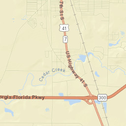 Crisp County Street Map