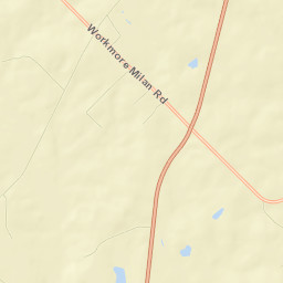 Telfair County Street Map