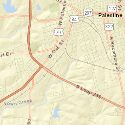 Palestine Street Map