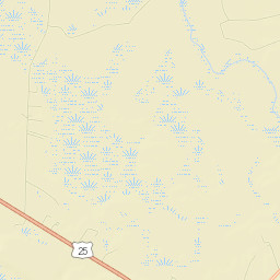 Long County Street Map
