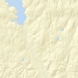 Wayne County Street Map