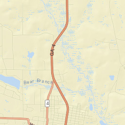 Bacon County Street Map