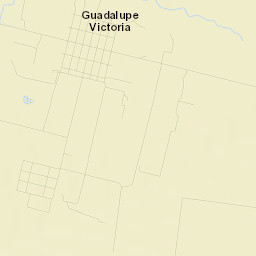 Guadalupe Victoria Street Map
