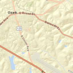 Dale County Street Map