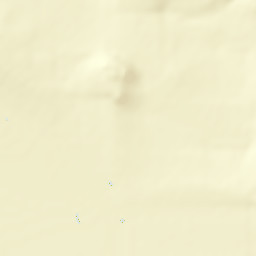 Ascensión Street Map