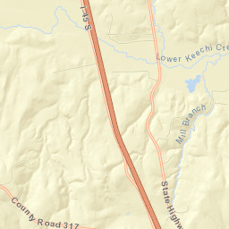 Leon County Street Map