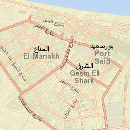 Port Said Street Map