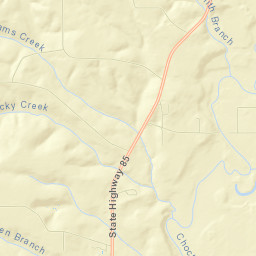 Geneva County Street Map