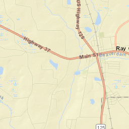 Ray City Street Map