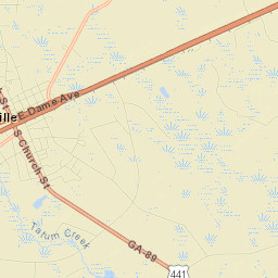 Homerville Street Map