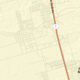 Colonia Lomas de San Ramón (Triquis) Street Map