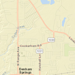 Denham Springs Street Map