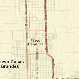 Nuevo Casas Grandes Street Map