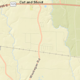 Cut and Shoot Street Map