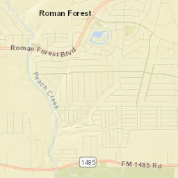 Roman Forest Street Map
