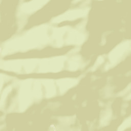 Bageshwar Street Map