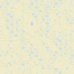 Dixie County Street Map