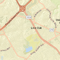 Live Oak Street Map