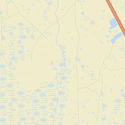 Levy County Street Map