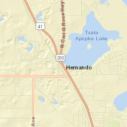 Hernando Street Map