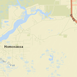Homosassa Street Map