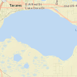 Tavares Street Map