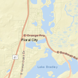 Floral City Street Map