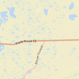 Pasco County Street Map