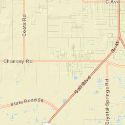 Zephyrhills South Street Map