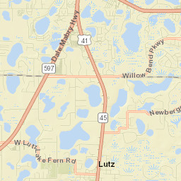Lutz Street Map