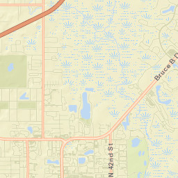 University Street Map