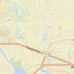 Oldsmar Street Map