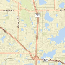 Carrollwood Street Map